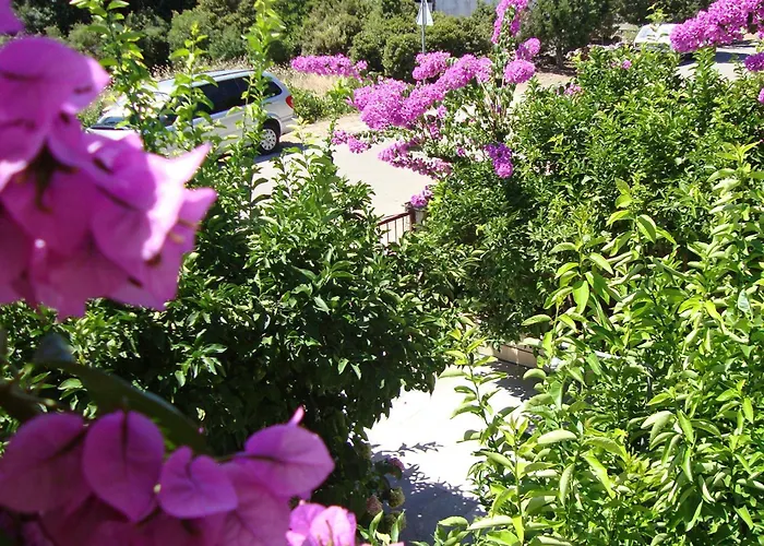 With A Parking Space Stari Grad, Hvar - 8686 ستاري غراد